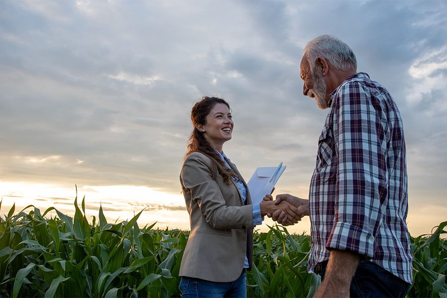 Business Insurance - View of a Smiling Business Woman and a Mature Farmer Shaking Hands While Standing in a Corn Field at Sunset